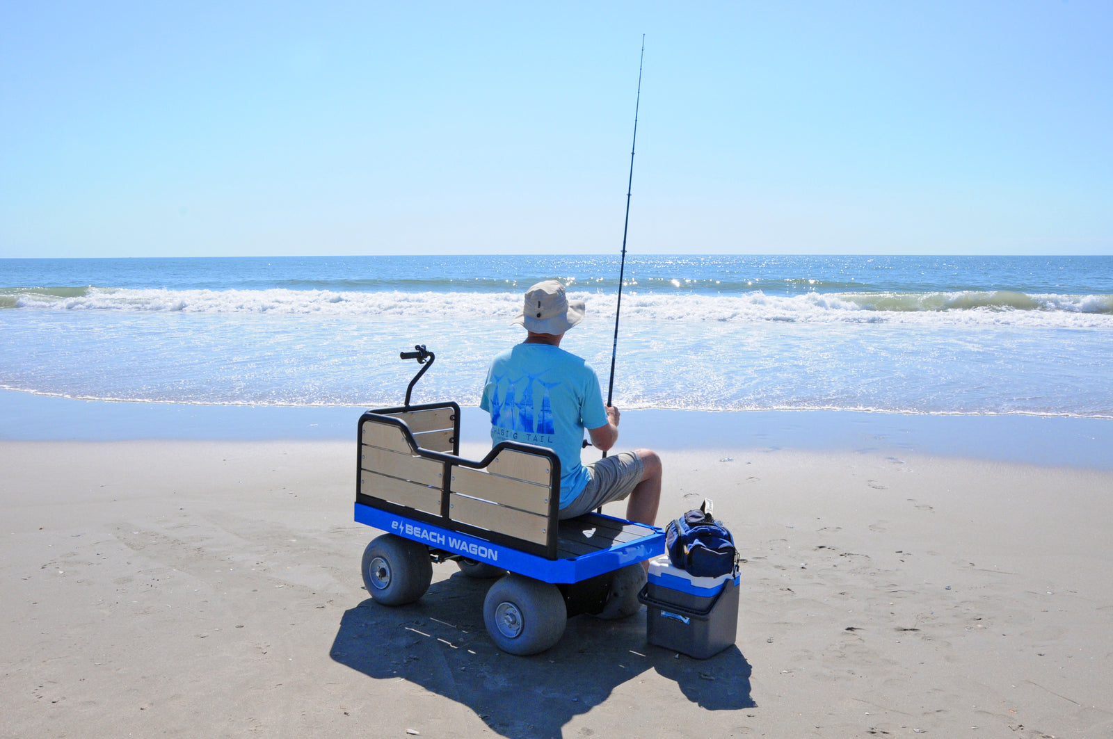 elegant electronic beach cart