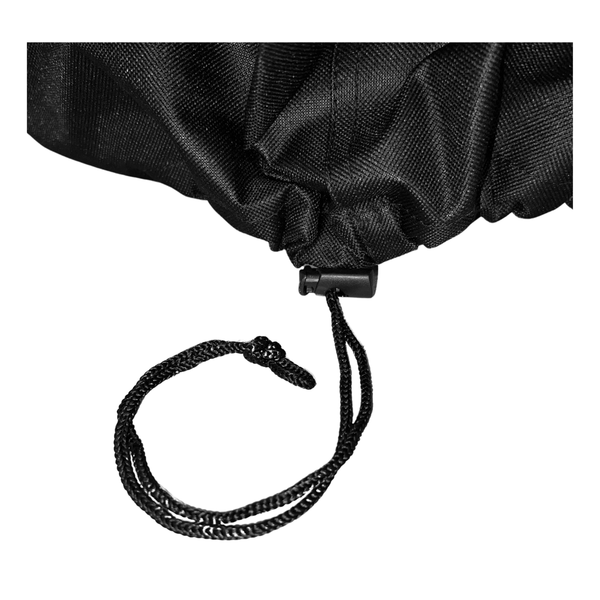 state-of-the-art electronic beach cart