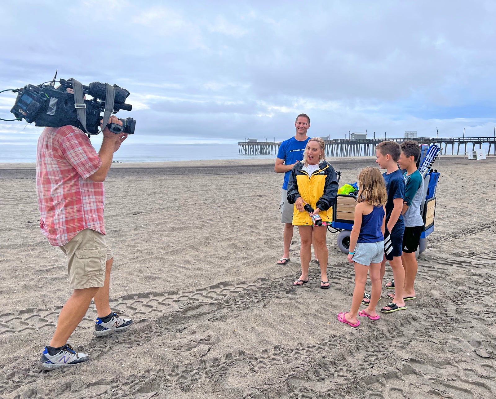 dependable electronic beach wagon