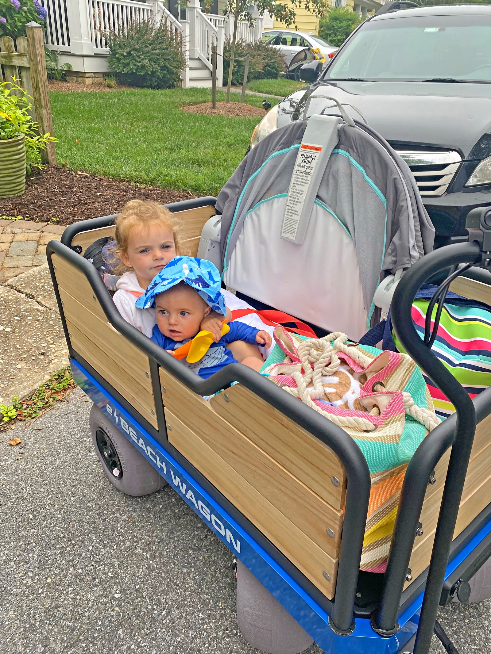 elegant electronic beach wagon