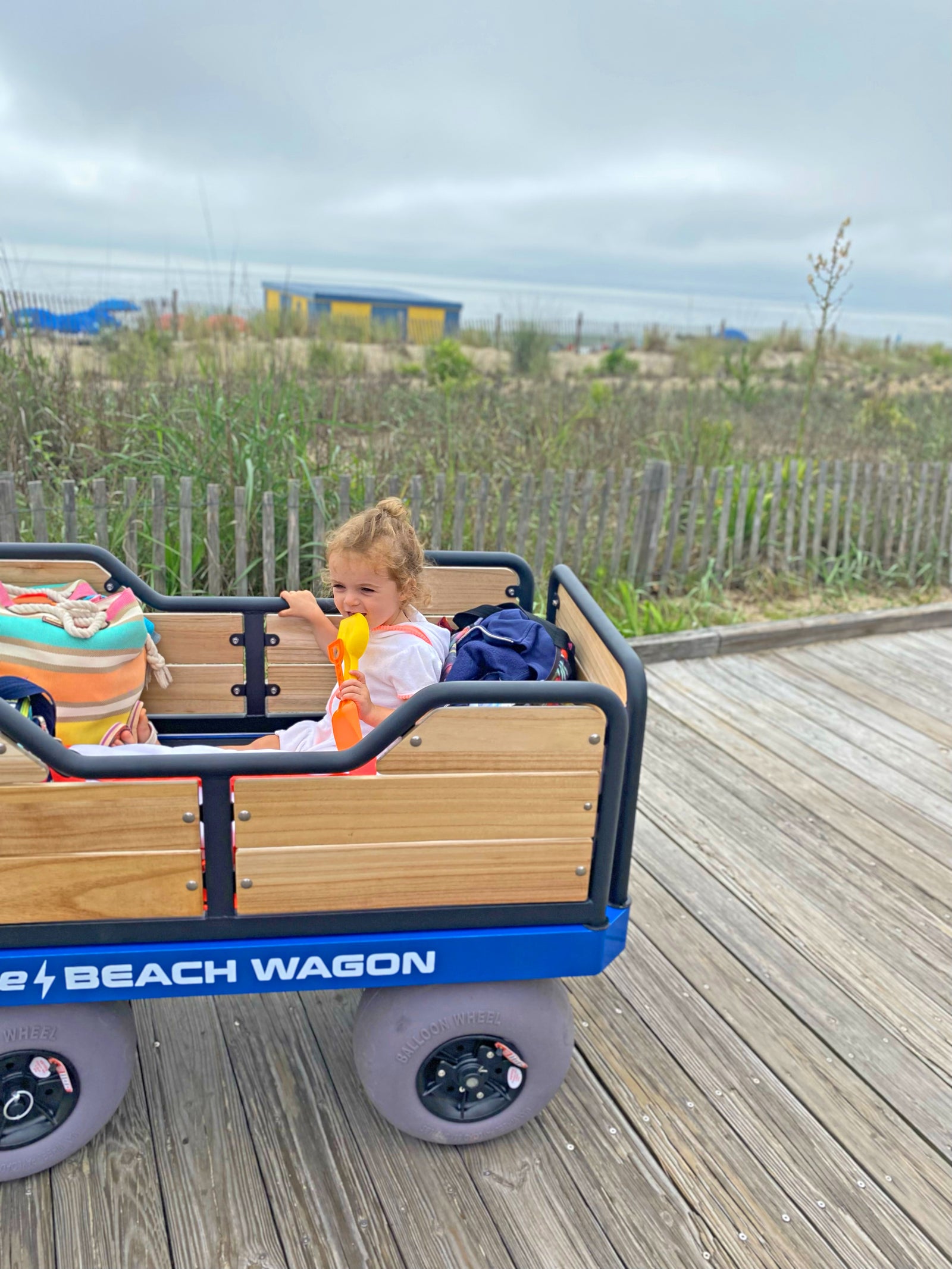 dependable motorized beach cart