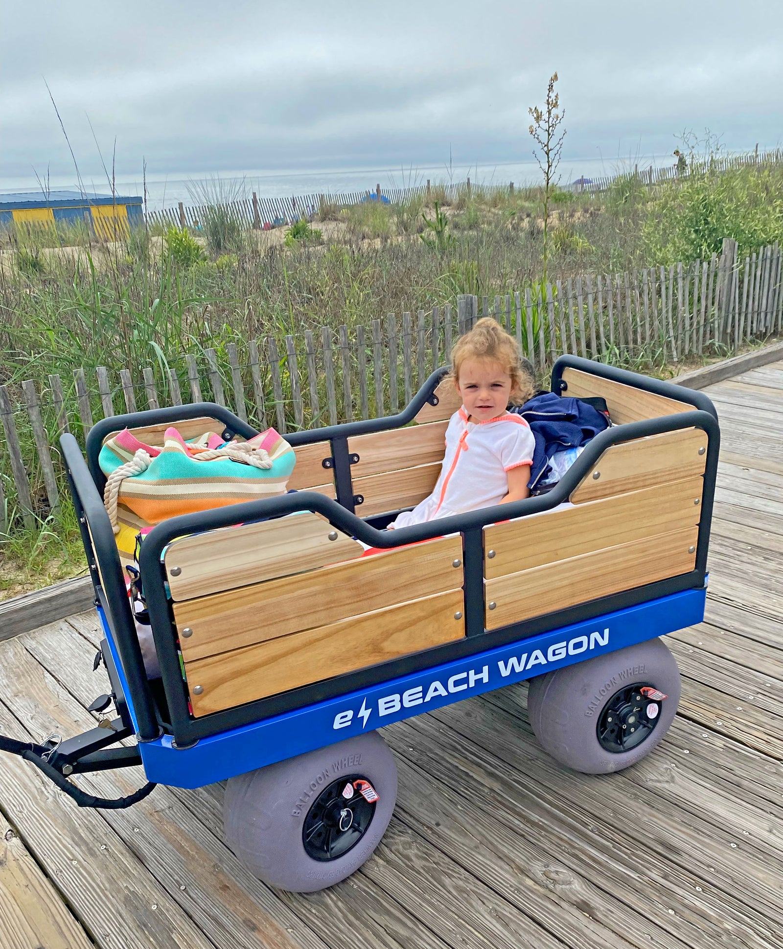 innovative electronic beach wagon