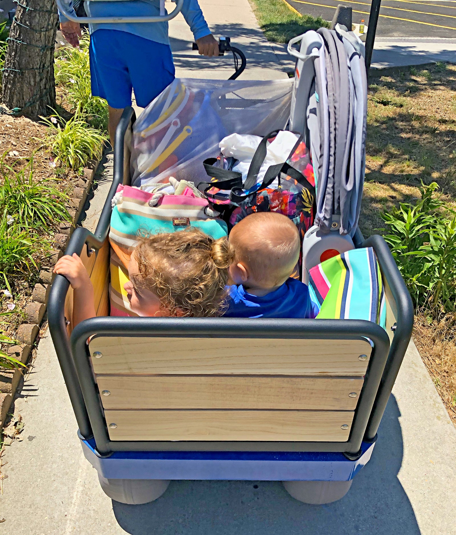 rechargeable electronic beach cart