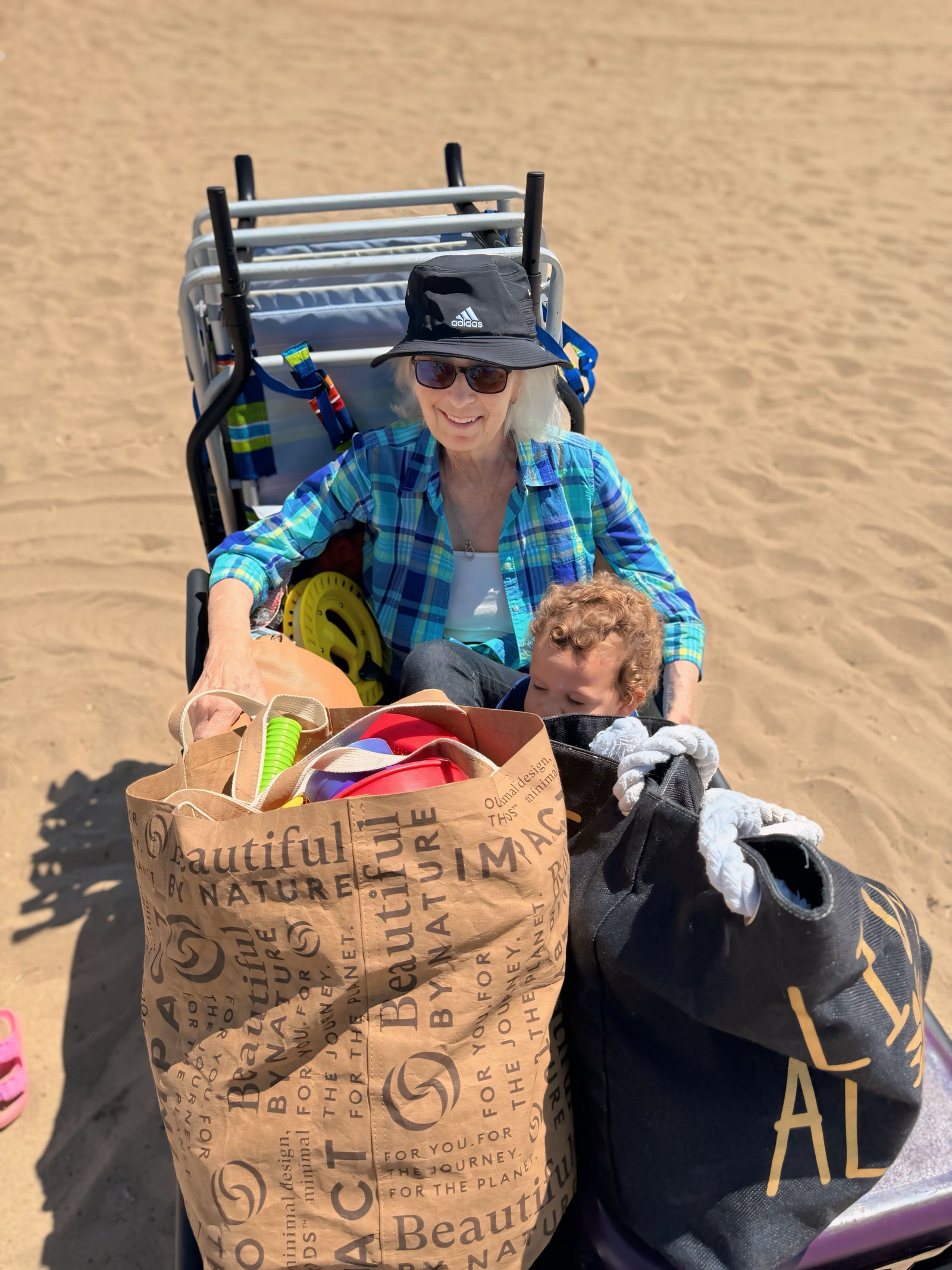 best motorized beach cart
