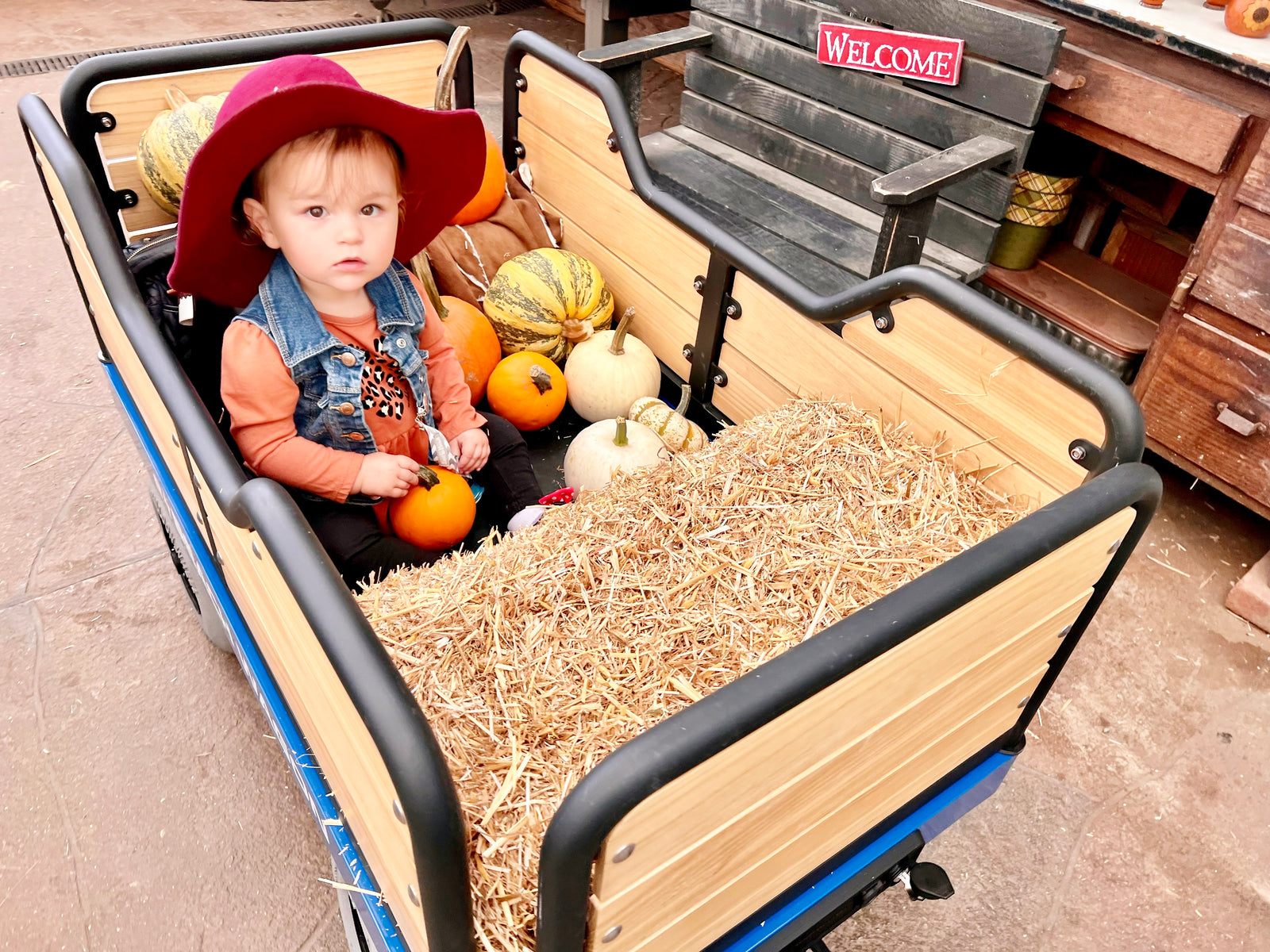easy-to-use motorized beach wagon
