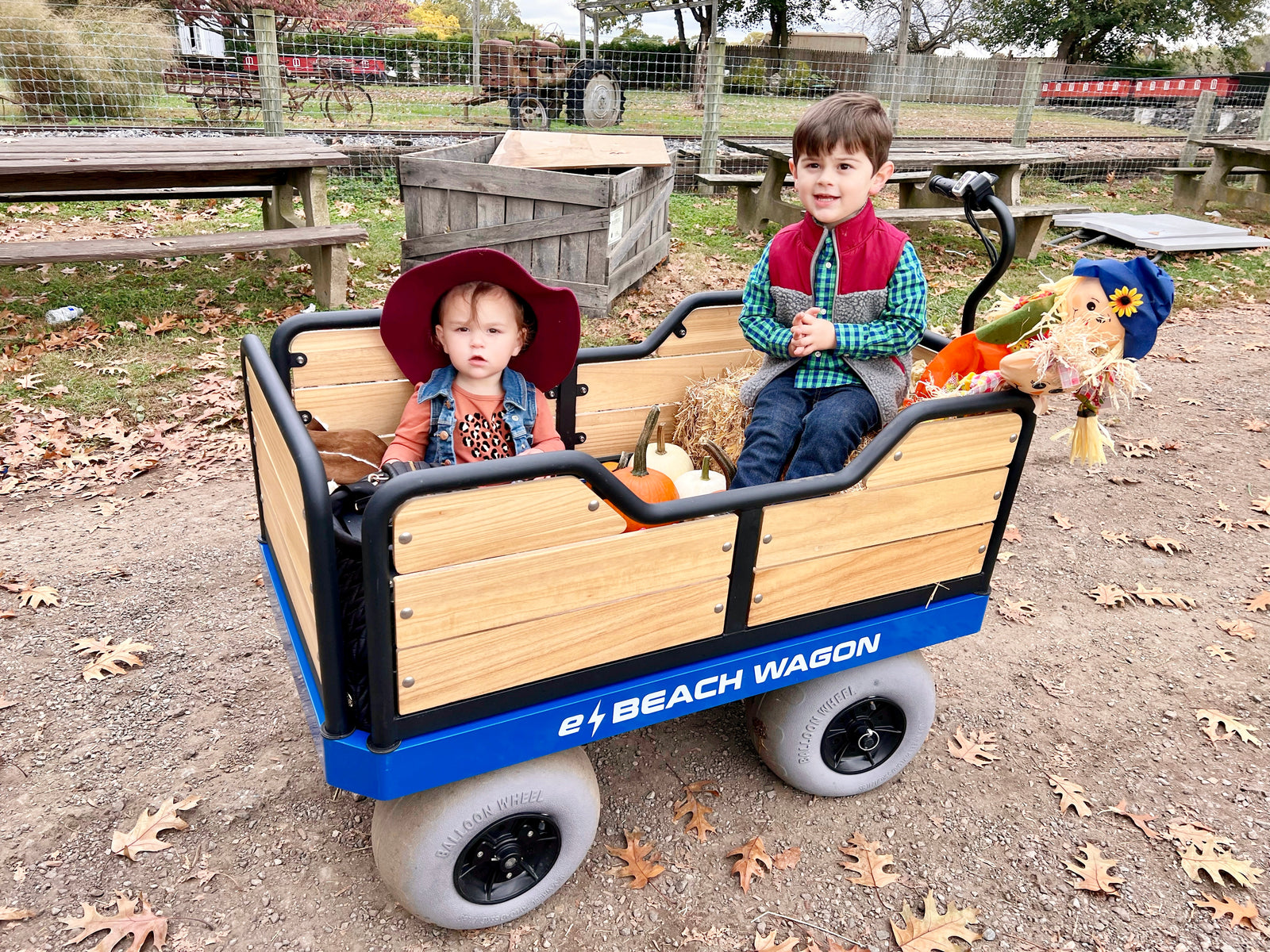 reliable electronic beach cart

