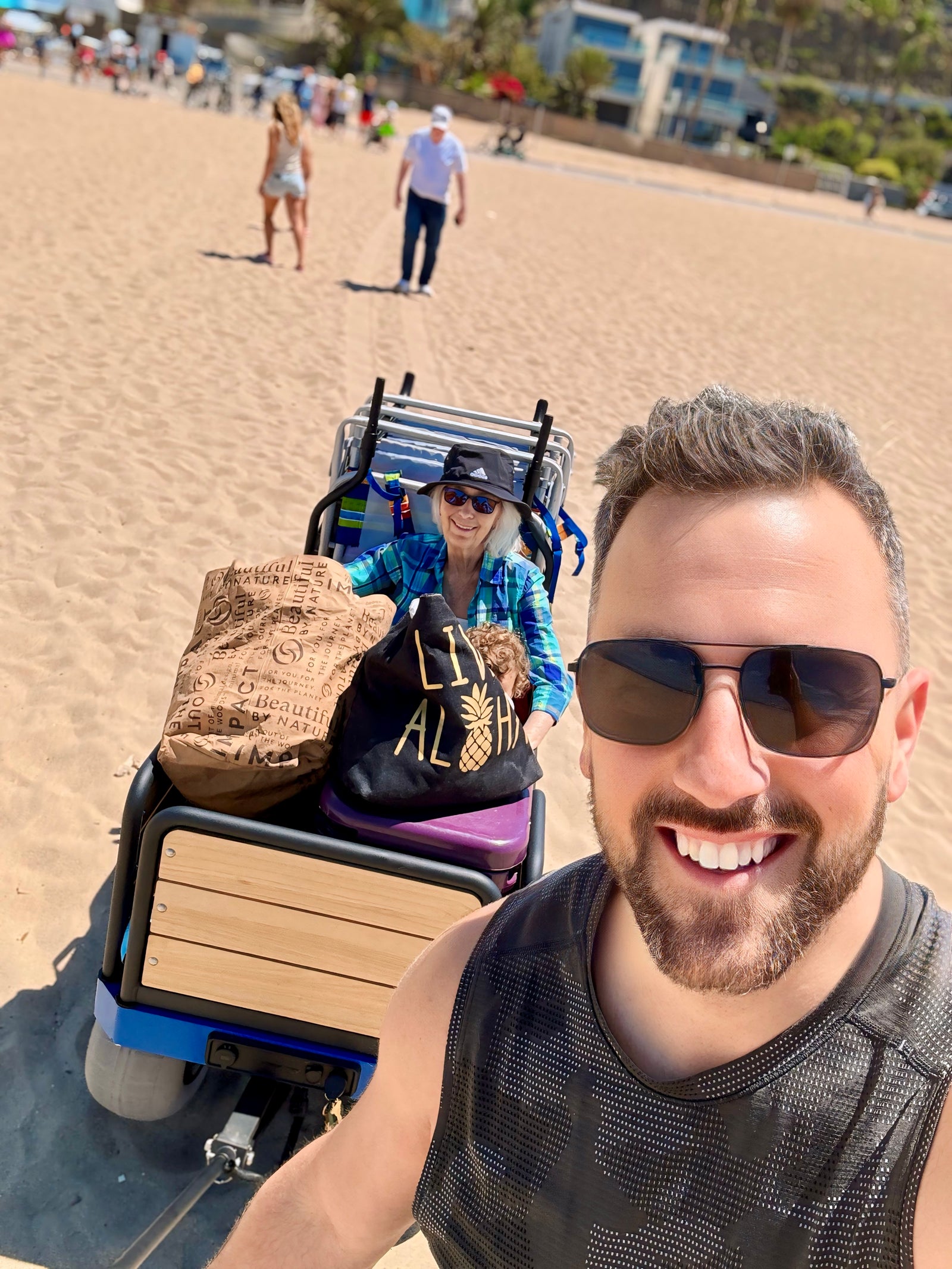 high-capacity motorized beach cart
