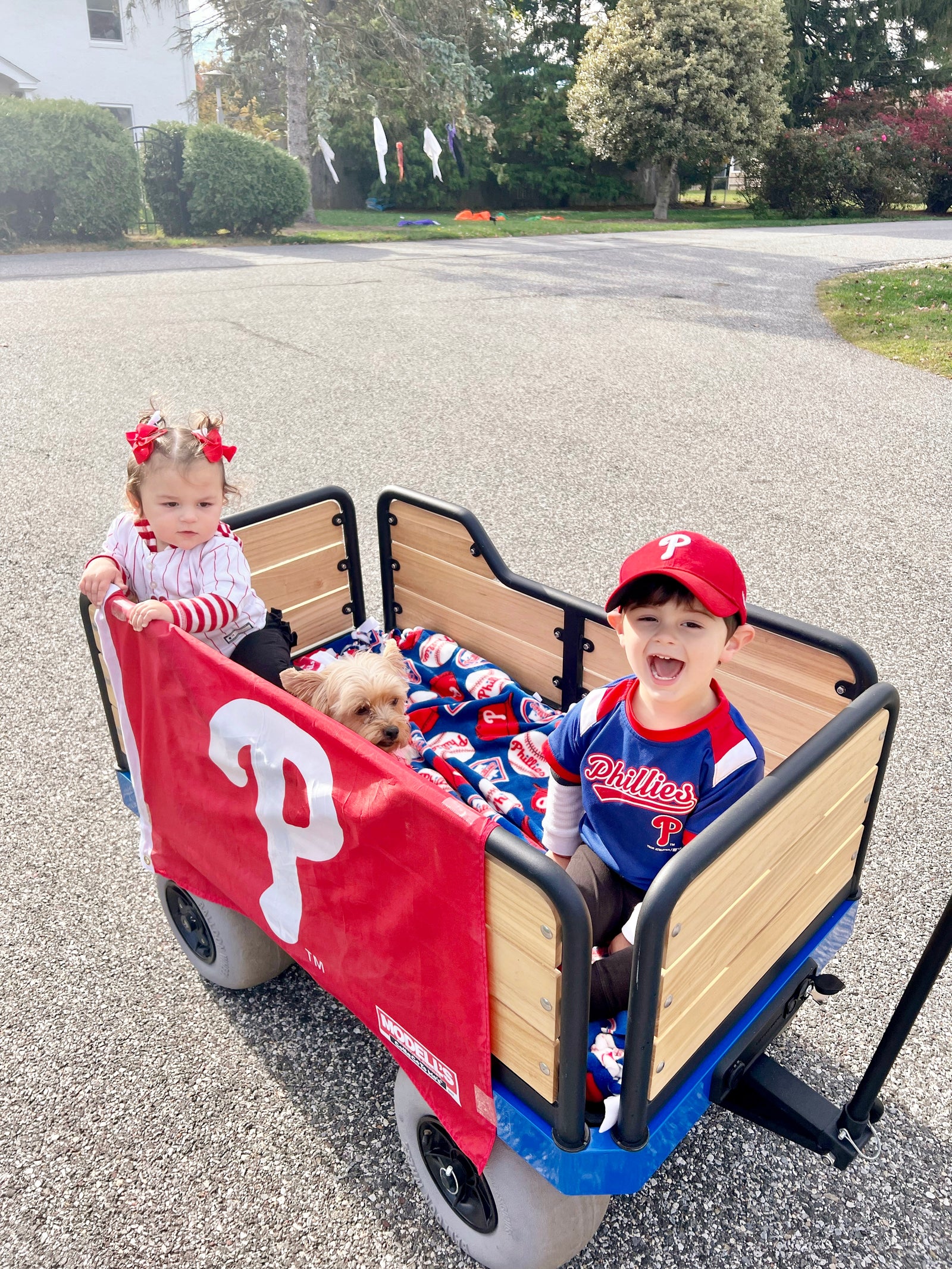 stylish motorized beach wagon