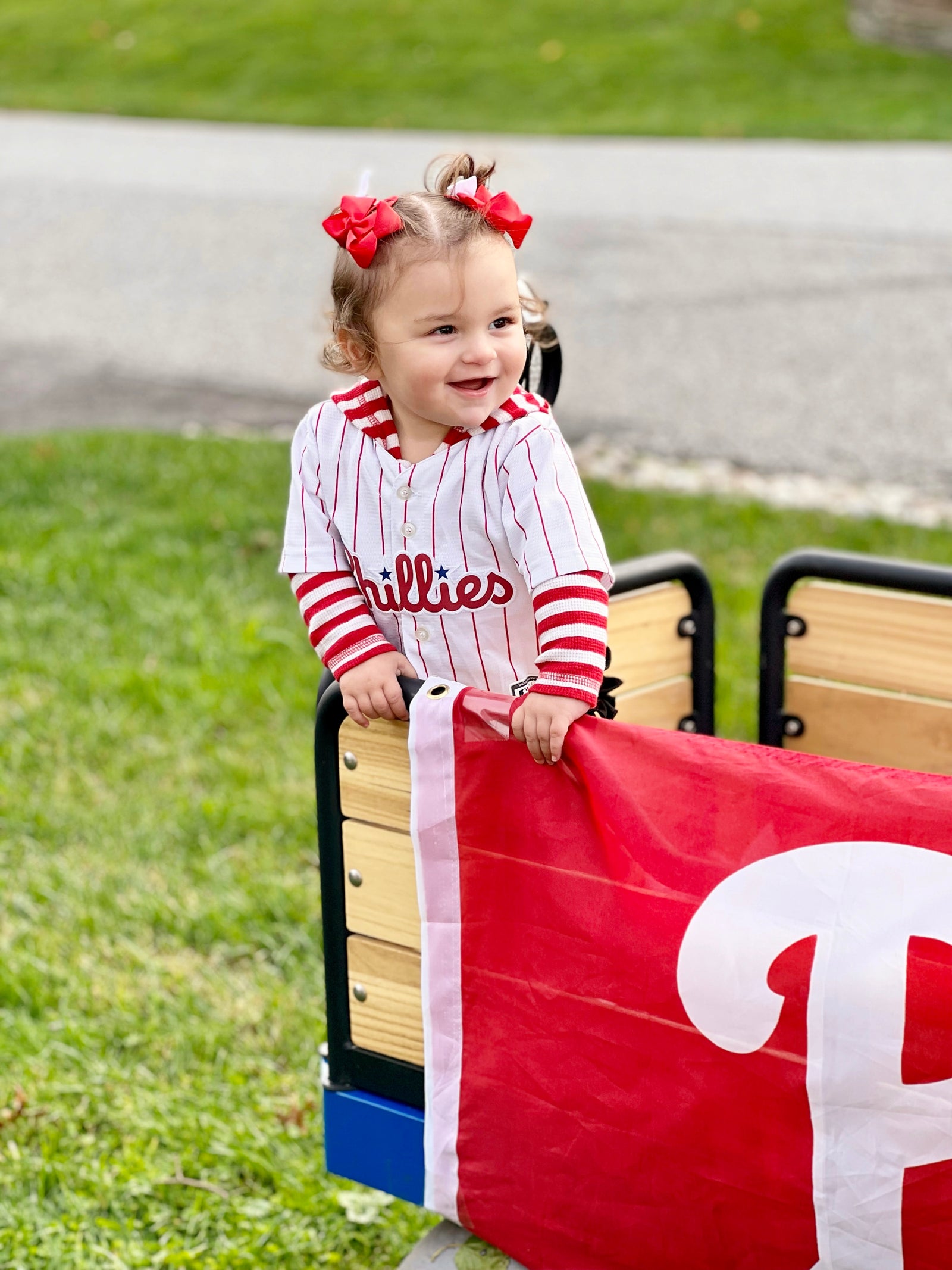 rechargeable motorized beach cart