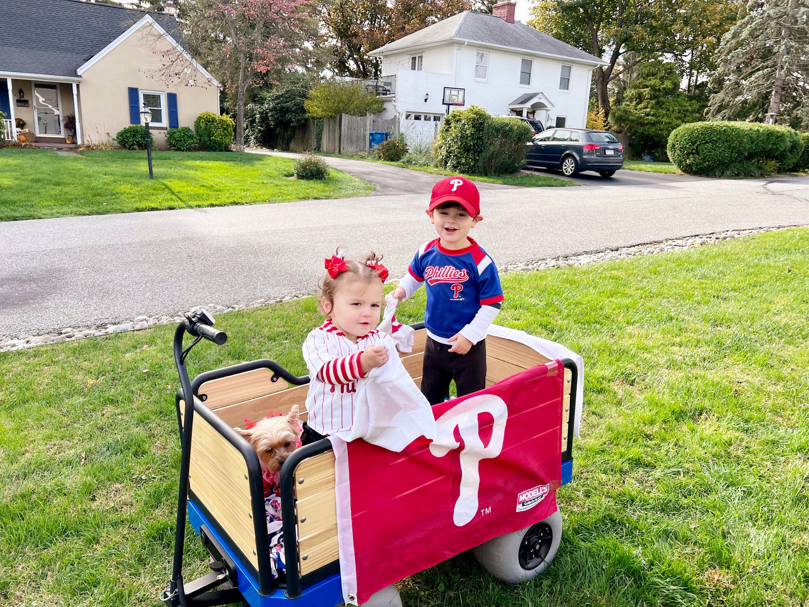 best electronic beach wagon