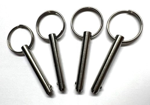 state-of-the-art electronic beach cart