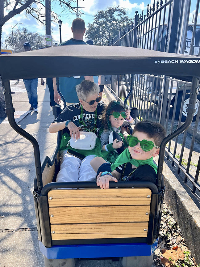 multifunctional electronic beach wagon