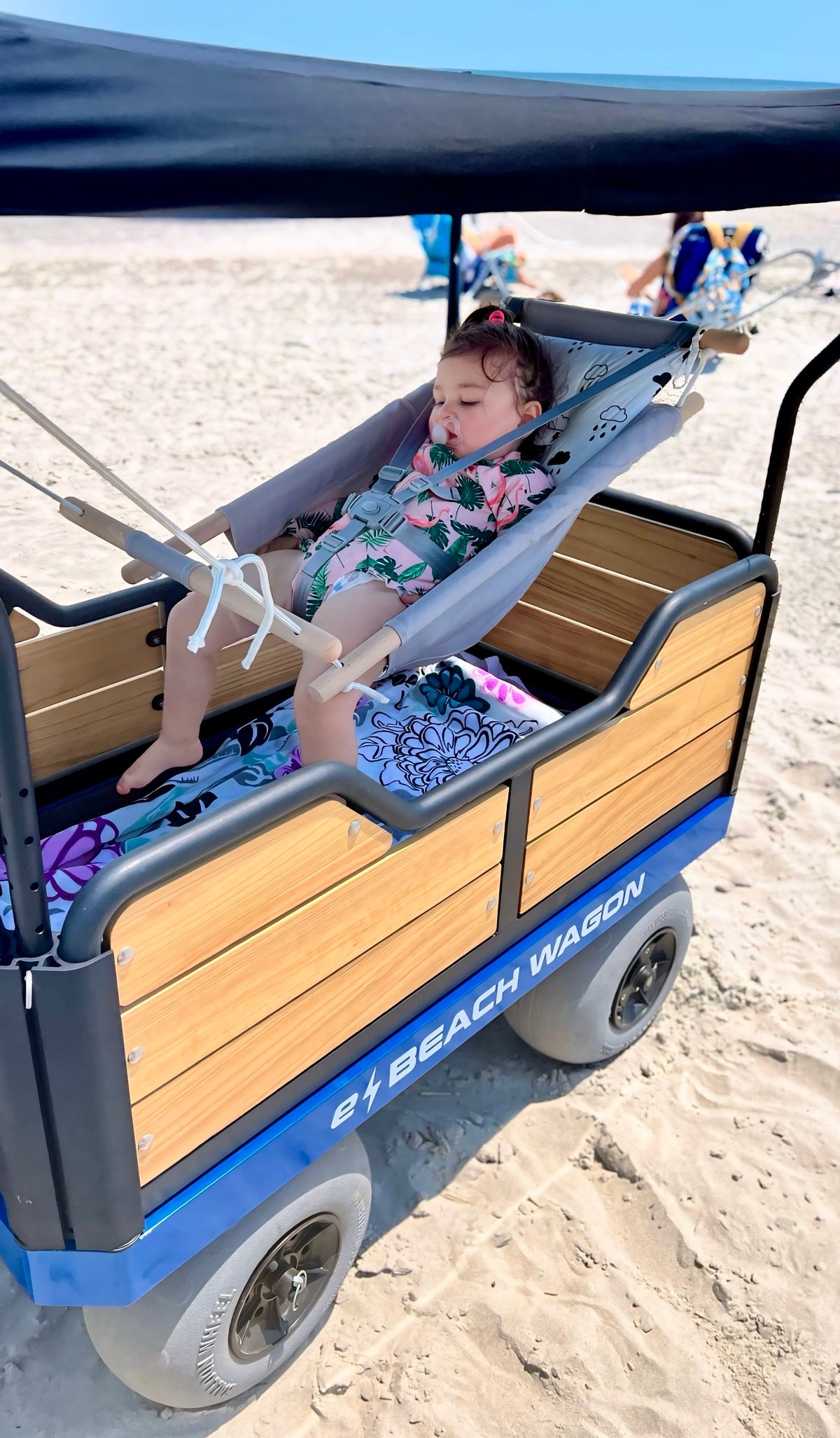dependable electronic beach wagon
