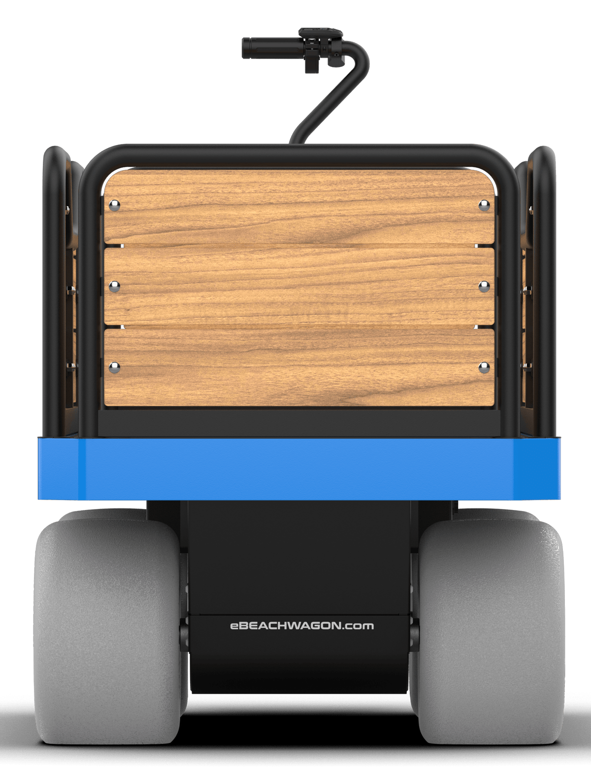 state-of-the-art electronic beach cart