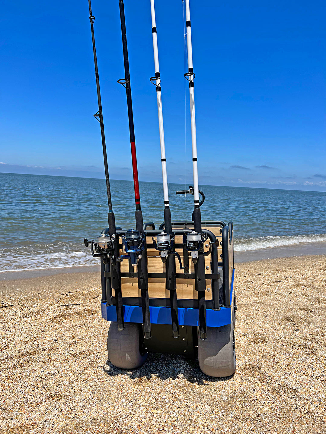 She Needs the Right Rod  Surf fishing rods, Beach fishing cart