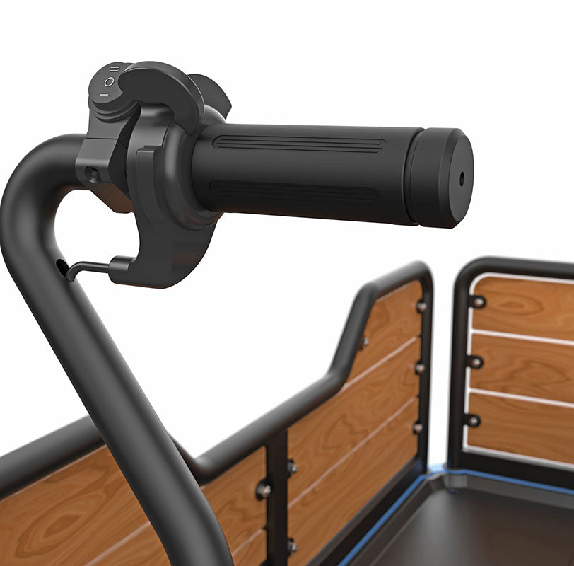 e-Beach Wagon has a handlebar throttle with a neutral, forward and reverse switch